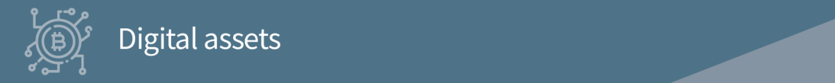 Digital Assets Option 1